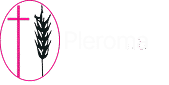 pleroma-missions.com